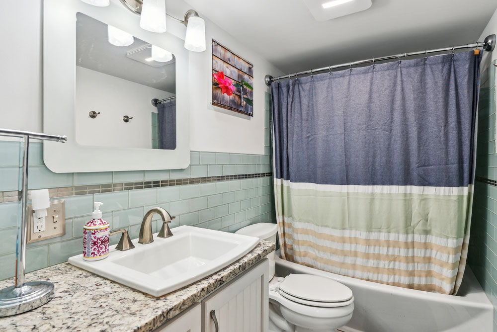 Lower level full bathroom